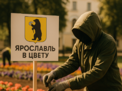 В Ярославле стартовал конкурс благоустройства «Ярославль в цвету»