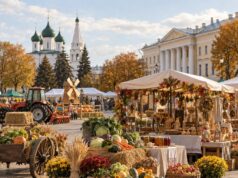 Мед, сыры и тракторы: что привезут на ярмарку «ЯрАгро-2026» в Ярославле
