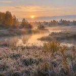 news_c4c18902ee7197602d4964d05816584503a8572666d4b95b00b0ae12a7f8216f