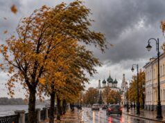 В Ярославской области потеплеет на фоне сильного ветра