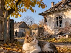 В Кубринске нашли кошку после взрыва на заводе