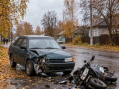 Кинолог Борис Ботвин погиб после ДТП в Борисоглебском